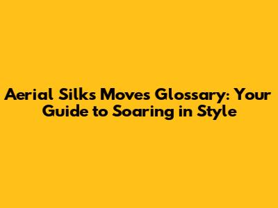 Aerial Silks Moves Glossary: Your Guide to Soaring in Style