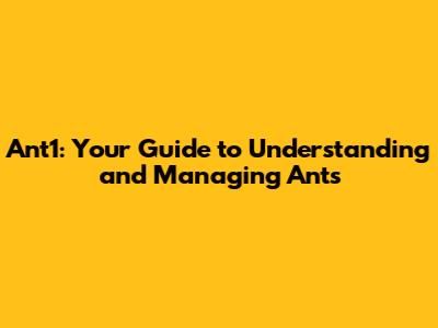 Ant1: Your Guide to Understanding and Managing Ants