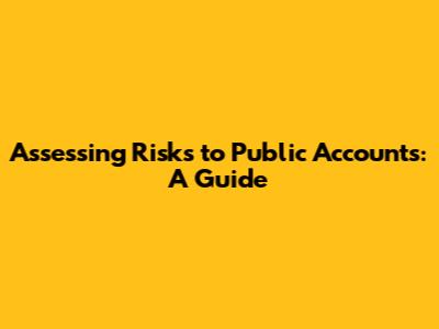 Assessing Risks to Public Accounts: A Guide