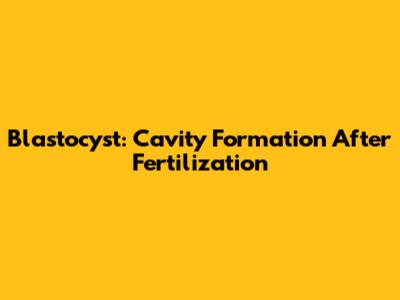 Blastocyst: Cavity Formation After Fertilization
