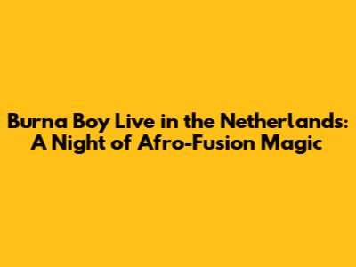 Burna Boy Live in the Netherlands: A Night of Afro-Fusion Magic