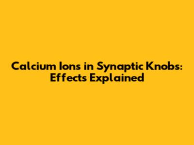 Calcium Ions in Synaptic Knobs: Effects Explained