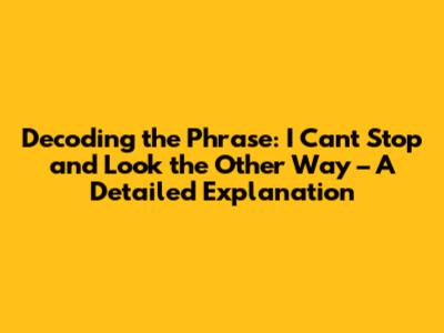 Decoding the Phrase: "I Can't Stop and Look the Other Way" – A Detailed Explanation