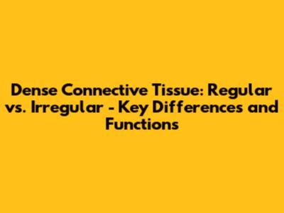 Dense Connective Tissue: Regular vs. Irregular - Key Differences and Functions