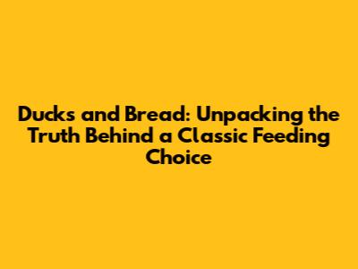 Ducks and Bread: Unpacking the Truth Behind a Classic Feeding Choice