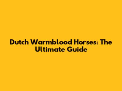 Dutch Warmblood Horses: The Ultimate Guide