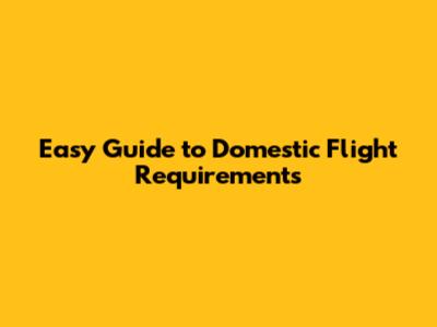 Easy Guide to Domestic Flight Requirements