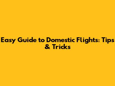 Easy Guide to Domestic Flights: Tips & Tricks