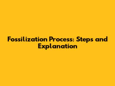 Fossilization Process: Steps and Explanation