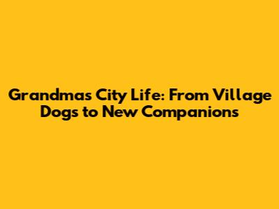 Grandma's City Life: From Village Dogs to New Companions