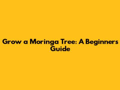 Grow a Moringa Tree: A Beginner's Guide