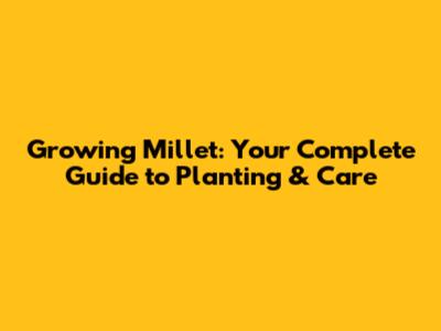 Growing Millet: Your Complete Guide to Planting & Care