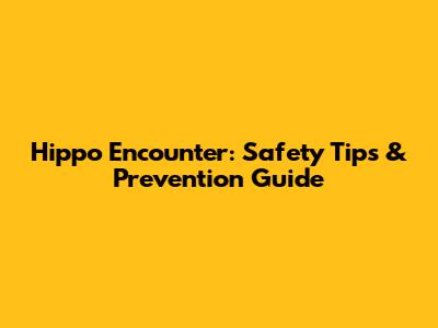 Hippo Encounter: Safety Tips & Prevention Guide