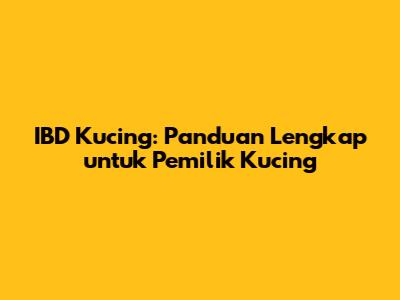IBD Kucing: Panduan Lengkap untuk Pemilik Kucing