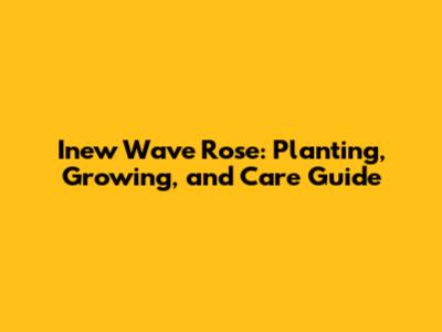 Inew Wave Rose: Planting, Growing, and Care Guide