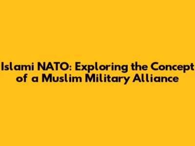 Islami NATO: Exploring the Concept of a Muslim Military Alliance