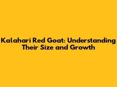 Kalahari Red Goat: Understanding Their Size and Growth