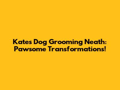 Kate's Dog Grooming Neath: Pawsome Transformations!