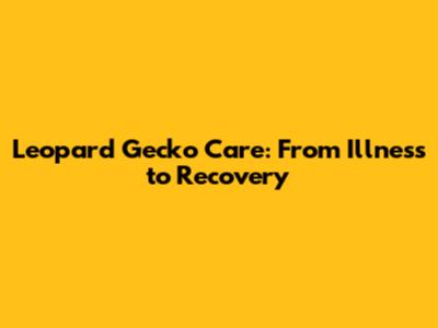 Leopard Gecko Care: From Illness to Recovery