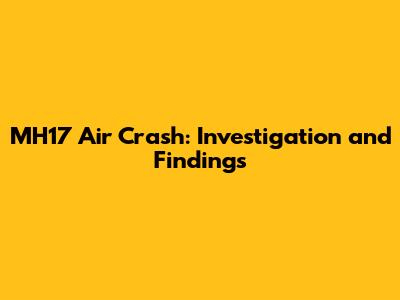 MH17 Air Crash: Investigation and Findings