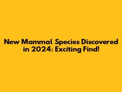 New Mammal Species Discovered in 2024: Exciting Find!