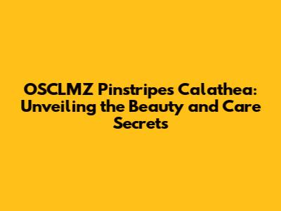 OSCLMZ Pinstripes Calathea: Unveiling the Beauty and Care Secrets