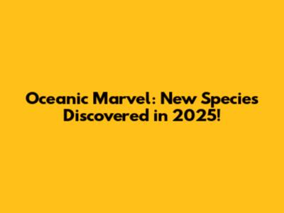 Oceanic Marvel: New Species Discovered in 2025!