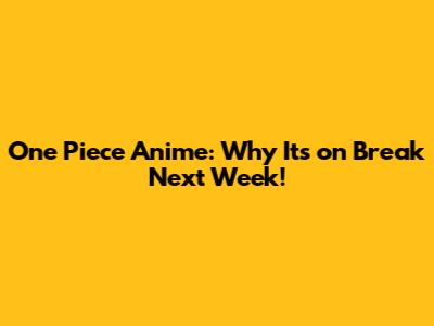 One Piece Anime: Why It's on Break Next Week!