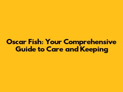 Oscar Fish: Your Comprehensive Guide to Care and Keeping