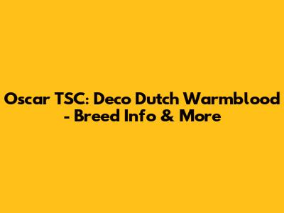 Oscar TSC: Deco Dutch Warmblood - Breed Info & More