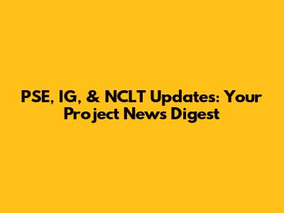 PSE, IG, & NCLT Updates: Your Project News Digest