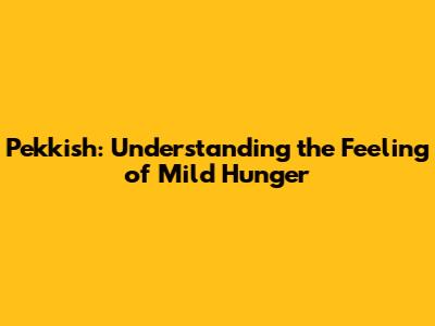 Pekkish: Understanding the Feeling of Mild Hunger