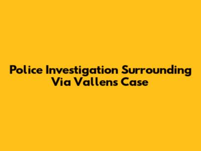 Police Investigation Surrounding Via Vallen's Case