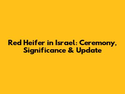 Red Heifer in Israel: Ceremony, Significance & Update