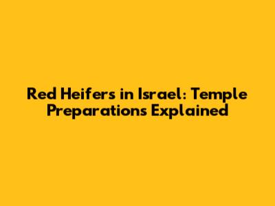 Red Heifers in Israel: Temple Preparations Explained