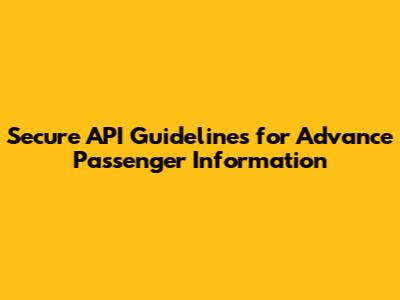 Secure API Guidelines for Advance Passenger Information