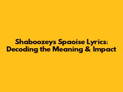 Shaboozey's 'Spaoise' Lyrics: Decoding the Meaning & Impact