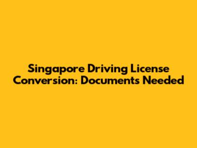 Singapore Driving License Conversion: Documents Needed