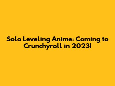 Solo Leveling Anime: Coming to Crunchyroll in 2023!