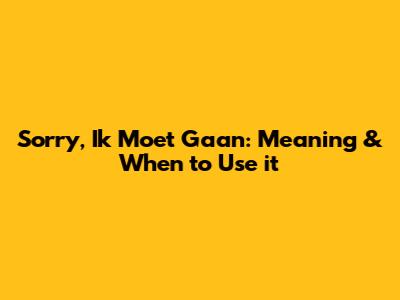Sorry, Ik Moet Gaan: Meaning & When to Use it