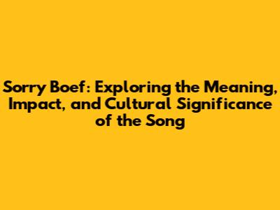 Sorry Boef: Exploring the Meaning, Impact, and Cultural Significance of the Song