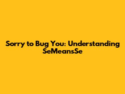 Sorry to Bug You: Understanding 'SeMeansSe'