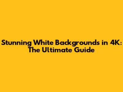 Stunning White Backgrounds in 4K: The Ultimate Guide