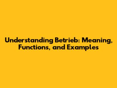 Understanding Betrieb: Meaning, Functions, and Examples