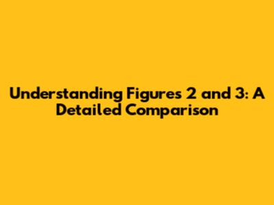 Understanding Figures 2 and 3: A Detailed Comparison