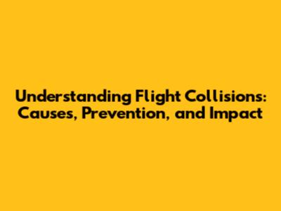 Understanding Flight Collisions: Causes, Prevention, and Impact