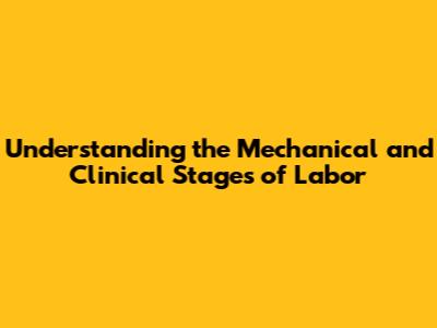 Understanding the Mechanical and Clinical Stages of Labor