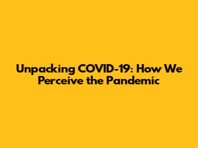 Unpacking COVID-19: How We Perceive the Pandemic