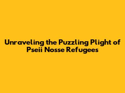 Unraveling the Puzzling Plight of Pseii Nosse Refugees