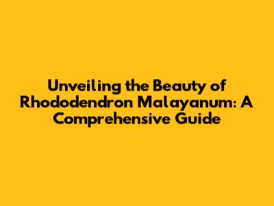 Unveiling the Beauty of Rhododendron Malayanum: A Comprehensive Guide